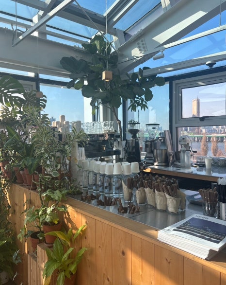 Counter area with plants at Urban Plant Hangang Bridge in Seoul