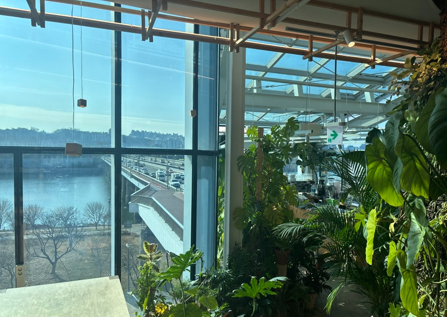 Plants and Han River view inside Urban Plant Hangang Bridge