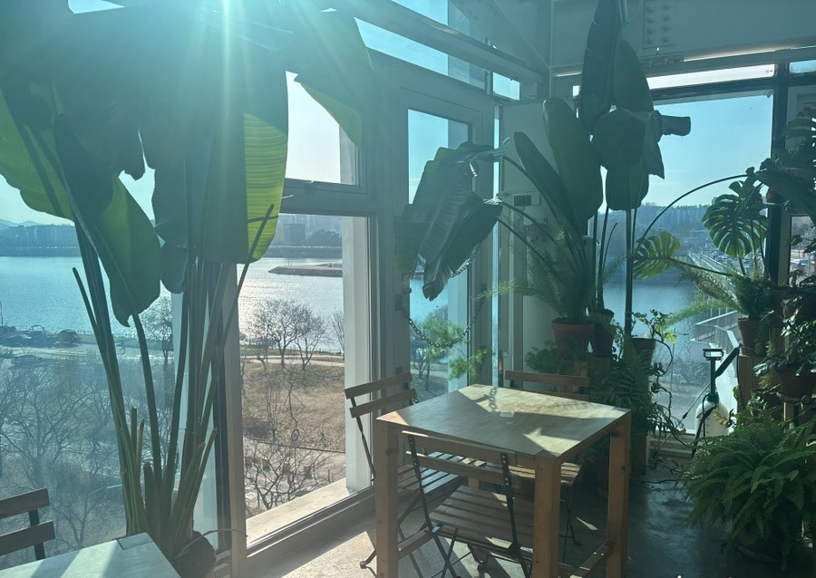 Window seat with Han River view at Urban Plant Hangang Bridge