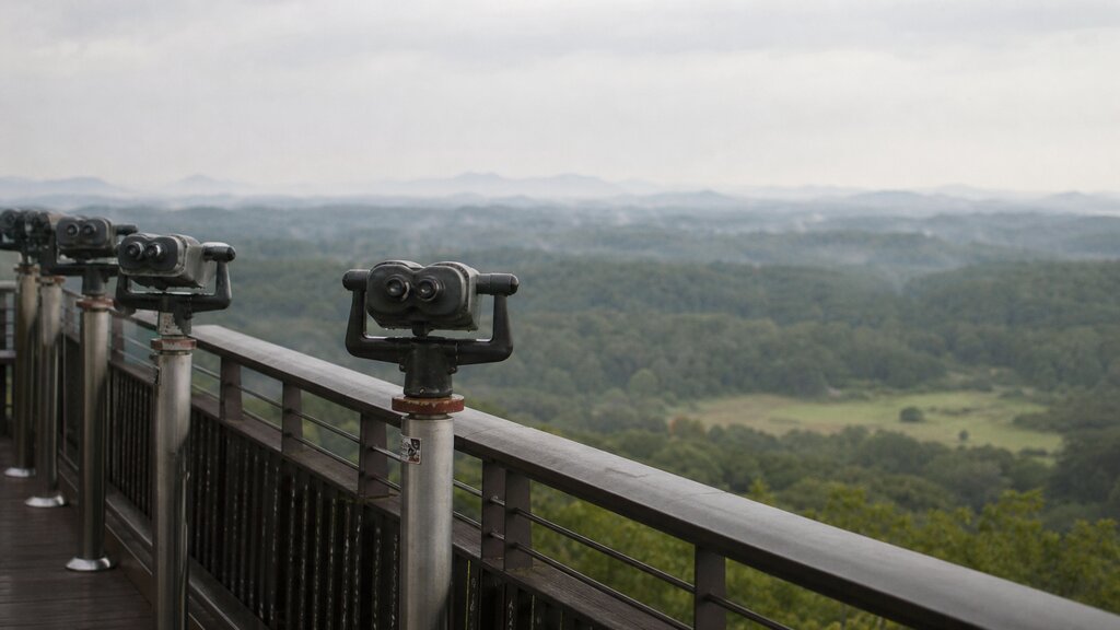 A hilltop DMZ observatory deck with coin-operated viewing binoculars looking out over a misty, forested border valley